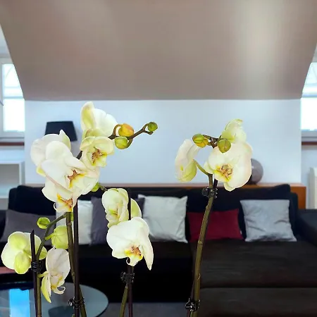 Apartment Ultimate Concierge Serviced Private Penthouse Apartment, In Altstadt Salzburg
